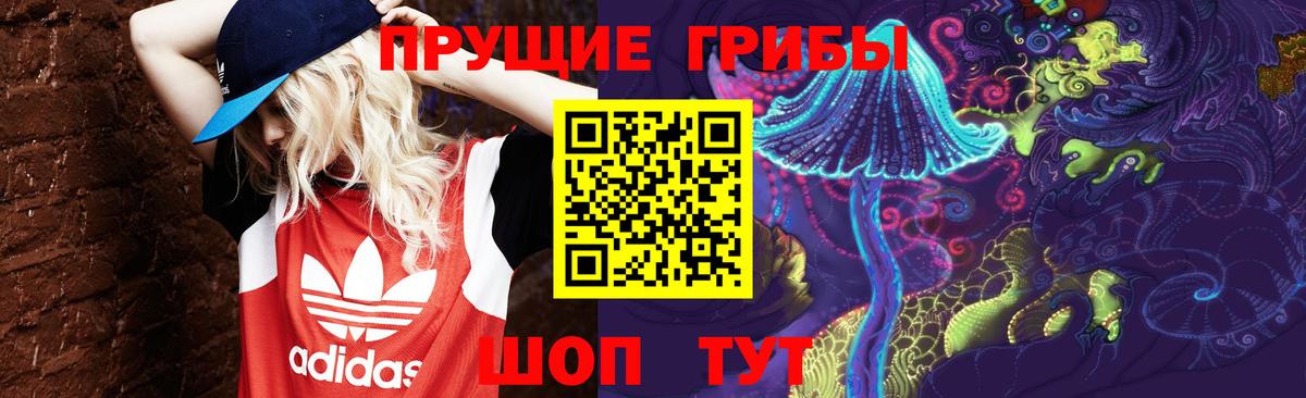 Галлюциногенные грибы прущие грибы Архангельск